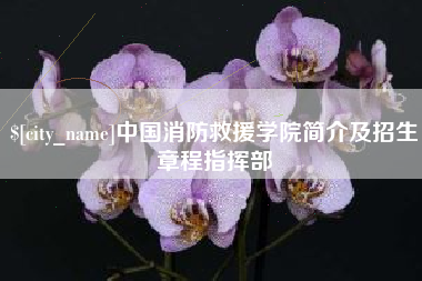 醴陵中国消防救援学院简介及招生章程指挥部