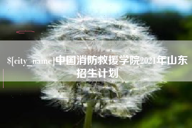 醴陵中国消防救援学院2021年山东招生计划