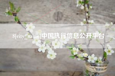 醴陵中国执行信息公开平台