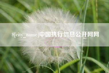 醴陵中国执行信息公开网网