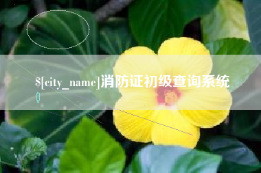 醴陵消防证初级查询系统