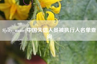 醴陵中国失信人员被执行人名单查询