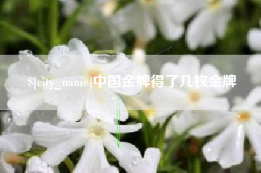 醴陵中国金牌得了几枚金牌