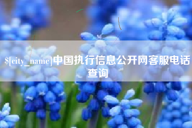 醴陵中国执行信息公开网客服电话查询