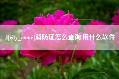 醴陵消防证怎么查询,用什么软件