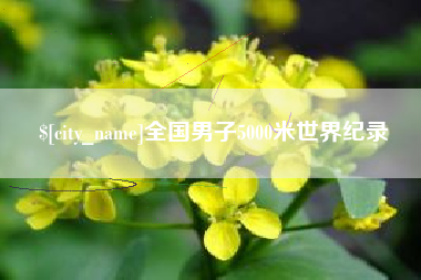 醴陵全国男子5000米世界纪录