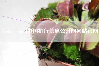 醴陵中国执行信息公开网网站官网