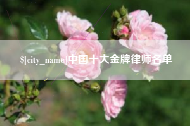 醴陵中国十大金牌律师名单