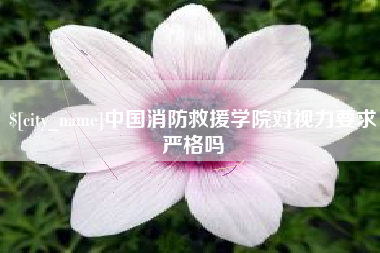 醴陵中国消防救援学院对视力要求严格吗