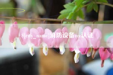 醴陵消防设备ccc认证