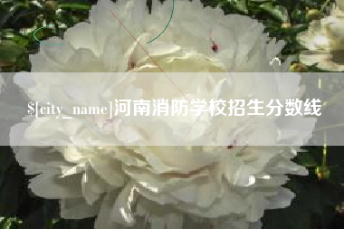 醴陵河南消防学校招生分数线