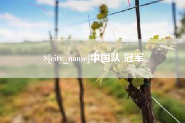 醴陵中国队 冠军