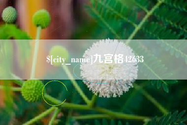 醴陵九宫格42633
