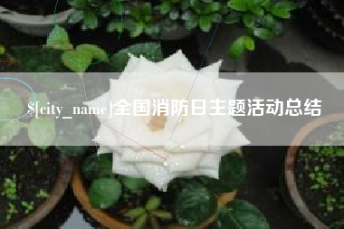 醴陵全国消防日主题活动总结