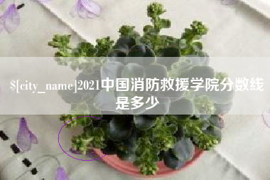醴陵2021中国消防救援学院分数线是多少