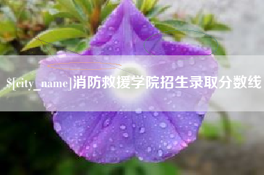 醴陵消防救援学院招生录取分数线
