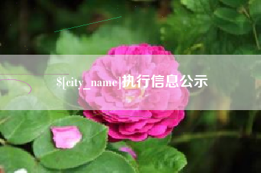 醴陵执行信息公示