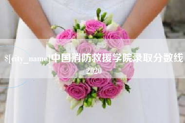 醴陵中国消防救援学院录取分数线2020