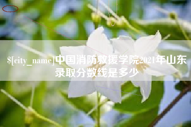 醴陵中国消防救援学院2021年山东录取分数线是多少