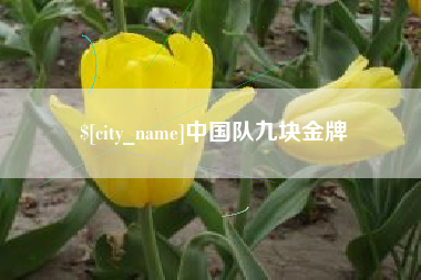 醴陵中国队九块金牌