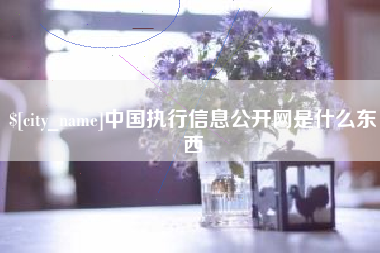 醴陵中国执行信息公开网是什么东西
