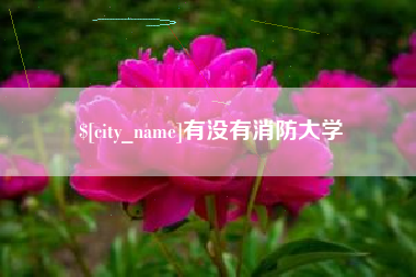 醴陵有没有消防大学