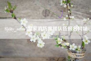 醴陵国家消防救援队伍报名网址
