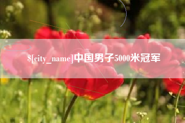 醴陵中国男子5000米冠军