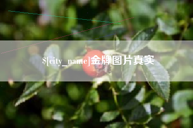 醴陵金牌图片真实