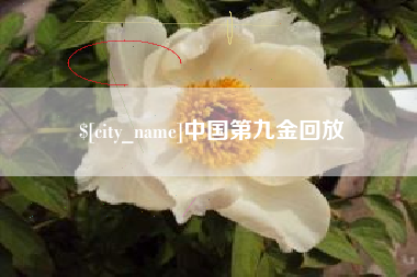 醴陵中国第九金回放