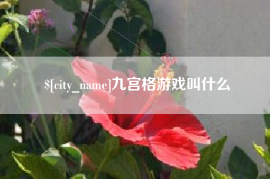 醴陵九宫格游戏叫什么