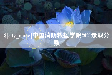 醴陵中国消防救援学院2021录取分数