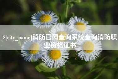 醴陵消防官网查询系统查询消防职业资格证书