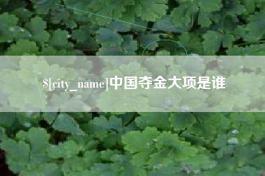 醴陵中国夺金大项是谁
