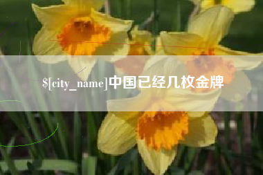 醴陵中国已经几枚金牌