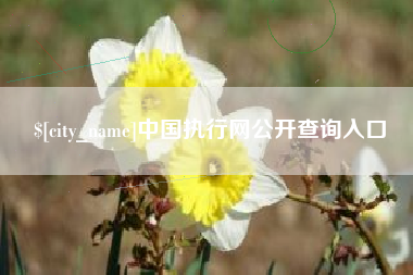 醴陵中国执行网公开查询入口
