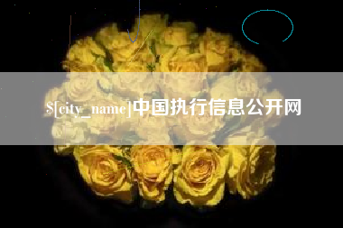 醴陵中国执行信息公开网