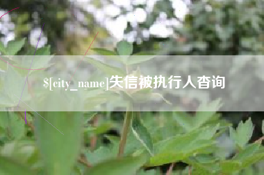 醴陵失信被执行人杳询