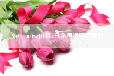 醴陵11月9日全国消防日图片