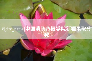醴陵中国消防救援学院新疆录取分数