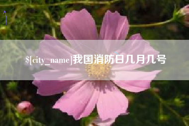 醴陵我国消防日几月几号