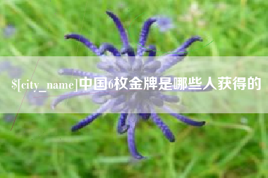 醴陵中国6枚金牌是哪些人获得的