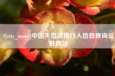 醴陵中国失信被执行人信息查询公开网址