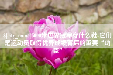 醴陵5000米世界冠军穿什么鞋-它们是运动员取得优异成绩背后的重要“功臣”