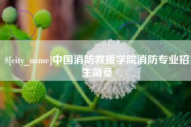 醴陵中国消防救援学院消防专业招生简章