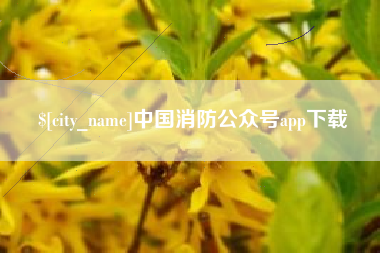 醴陵中国消防公众号app下载