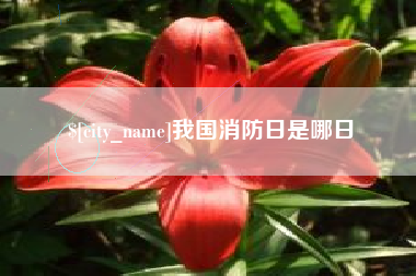 醴陵我国消防日是哪日