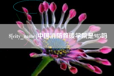 醴陵中国消防救援学院是985吗