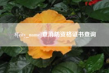 醴陵查消防资格证书查询