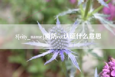 醴陵消防ccc认证什么意思